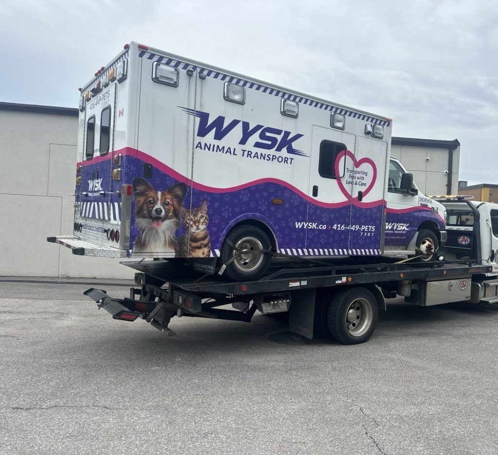 Fars Towing-Heavy Equipment